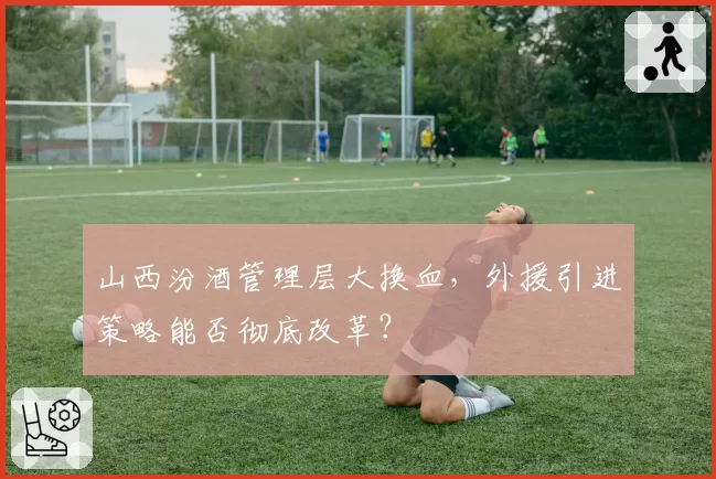 山西汾酒管理层大换血，外援引进策略能否彻底改革？
