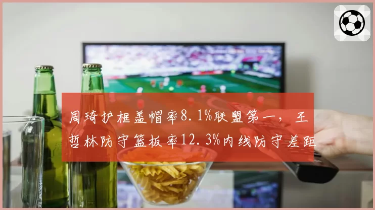 周琦护框盖帽率8.1%联盟第一,王哲林防守篮板率12.3%内线防守差距显著