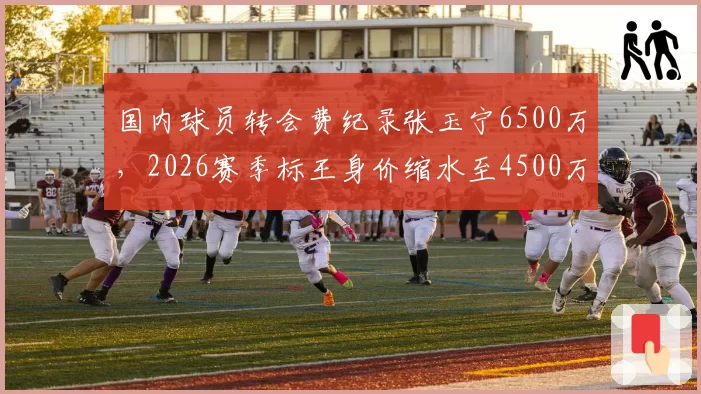 国内球员转会费纪录张玉宁6500万,2026赛季标王身价缩水至4500万
